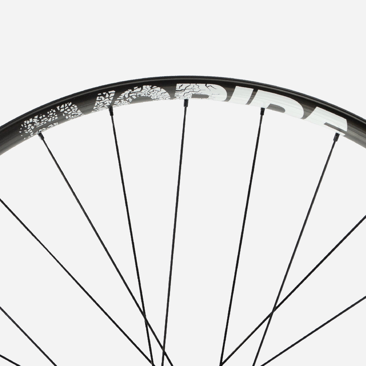 EvoCross SL
